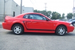Mustang Graphics